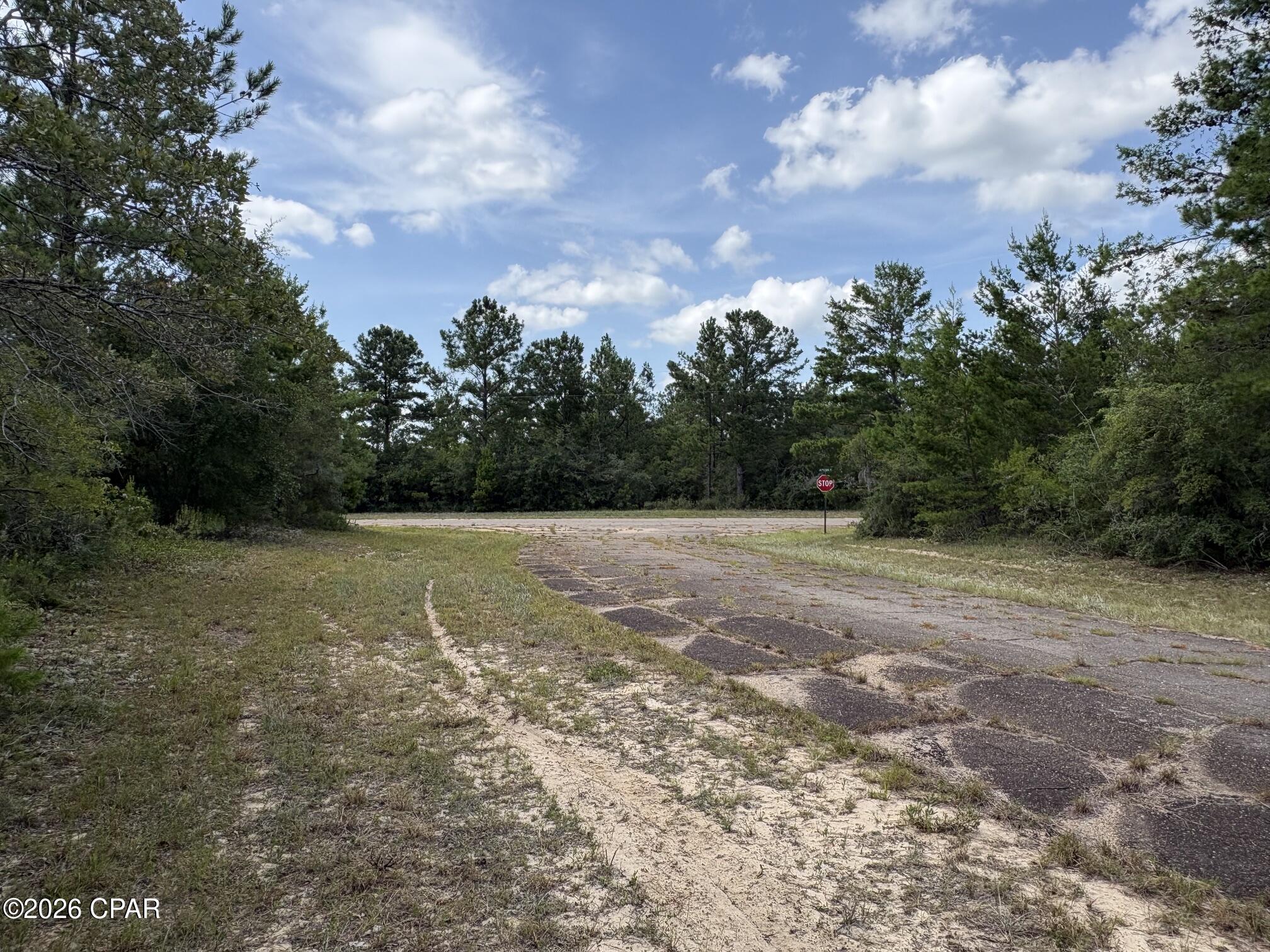 Land in Chipley 4