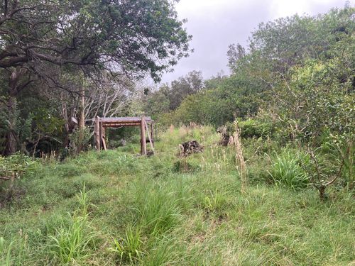 95-3970 Halemauna Rd, Naalehu, HI, 96772 | Card Image