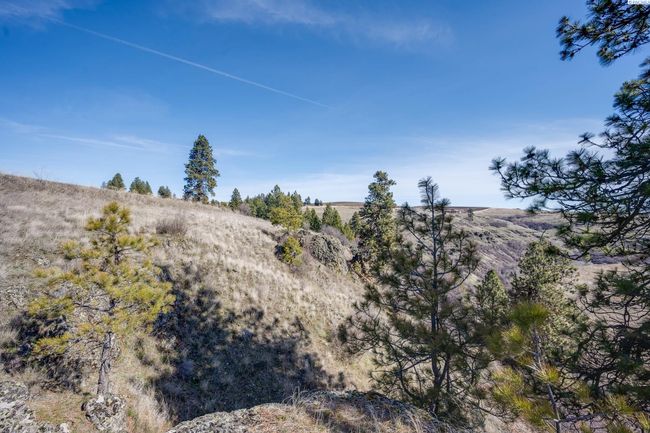 6E Red Tail Ridge Rd, Home with 0 bedrooms, 0 bathrooms and null parking in Colfax WA | Image 8