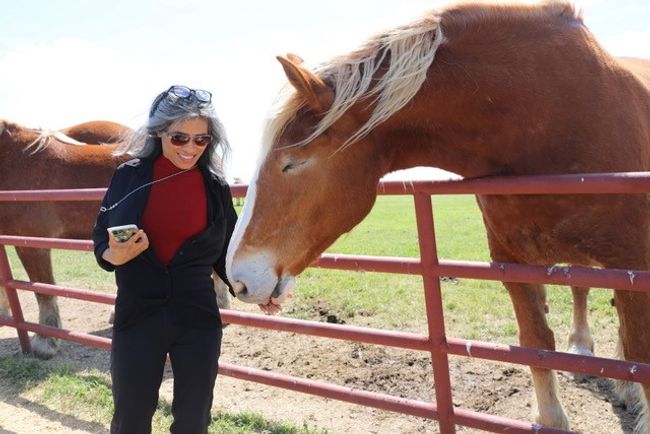 Two horses allowed per 3 acres | Image 26