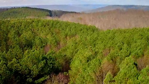 1560 Thunder Ridge Dr, South Pittsburg, TN, 37380 | Card Image