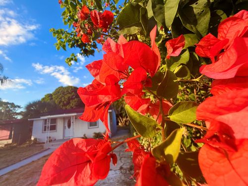 1093 Highview Rd, Lantana, FL, 33462-5907 | Card Image