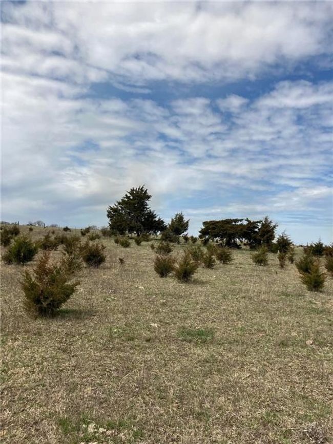 View of local wilderness | Image 28