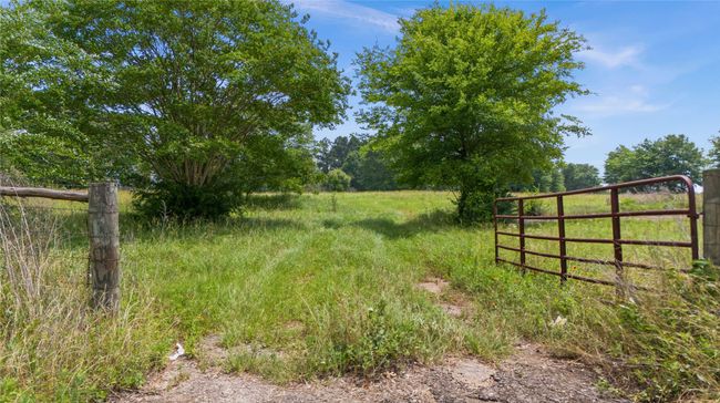 20046 Us Highway 69 S, Home with 0 bedrooms, 0 bathrooms and null parking in Alto TX | Image 11