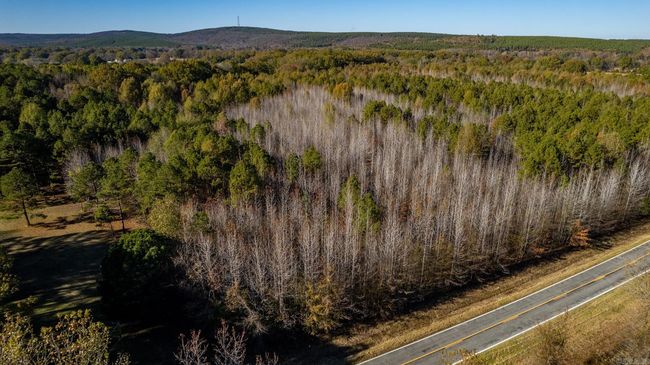 Lot 3 Roland Woods, Hwy 300, Home with 0 bedrooms, 0 bathrooms and null parking in Roland AR | Image 37