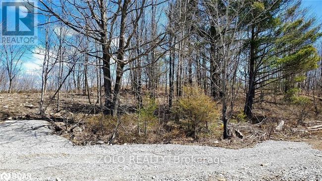 18 Hawkins Point Road, Home with 0 bedrooms, 0 bathrooms and null parking in Georgian Bay (Freeman) ON | Image 6