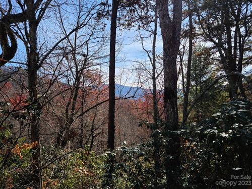 6-000000 Blue Vista Rd, Canton, NC, 28716 | Card Image