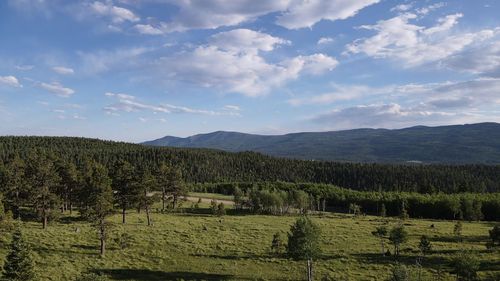 155 Beaver Loop, Angel Fire, NM, 87710 | Card Image