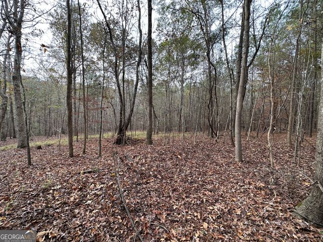 178 Ben Burton Cir, Home with 0 bedrooms, 0 bathrooms and null parking in Bogart GA | Image 10