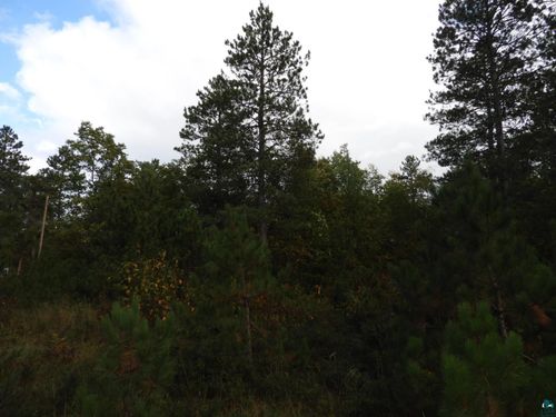 1765 E Wilderness Ct, Barnes, WI, 54873 | Card Image