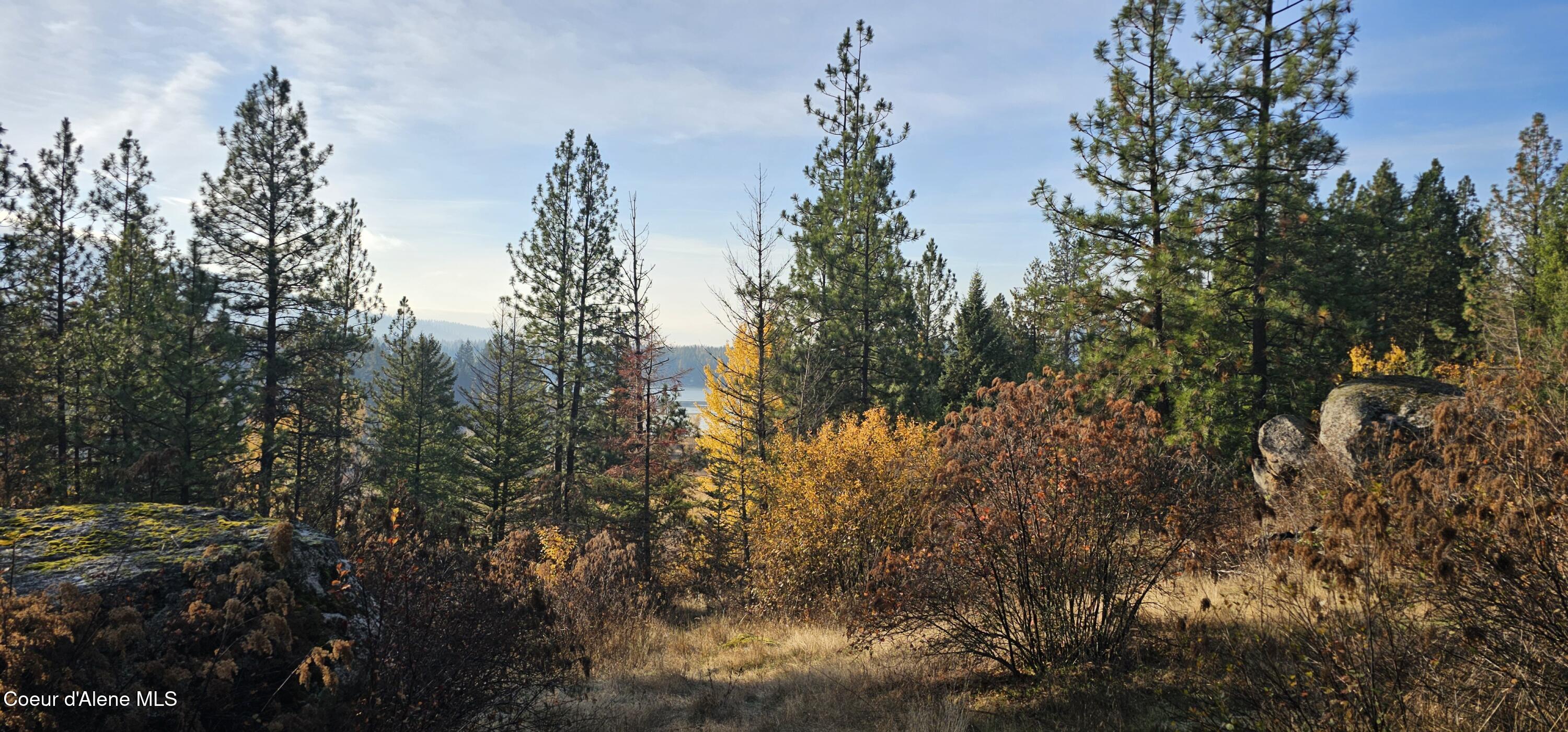 Land in Priest River