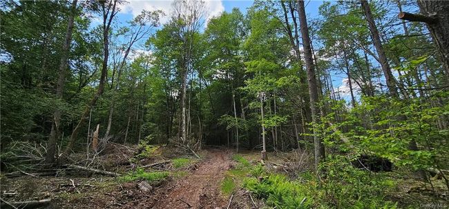 Lot 81.4 County Road 114, Home with 0 bedrooms, 0 bathrooms and null parking in Cochecton NY | Image 10