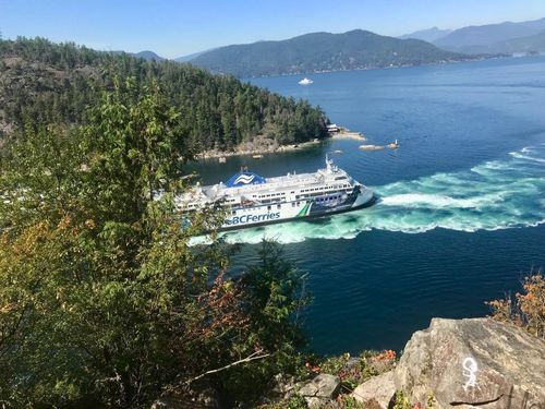 {{alt}} | Card Image