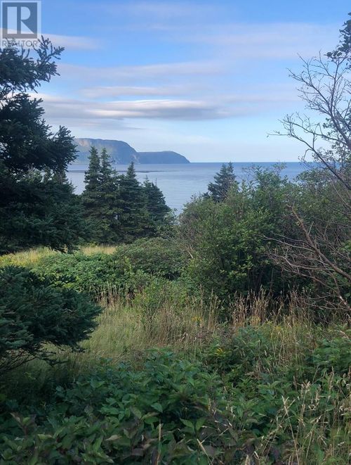 158A Main Street N, Rocky Harbour, NL, A0K4N0 | Card Image