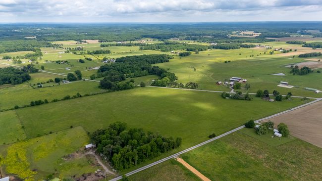 187 Campbellsville Pike, Home with 0 bedrooms, 0 bathrooms and null parking in Ethridge TN | Image 9