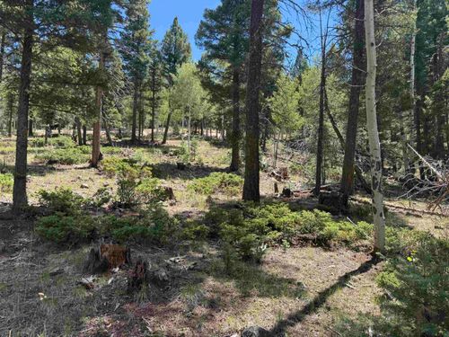Lot 561 El Camino Real, Angel Fire, NM, 87710-8170 | Card Image