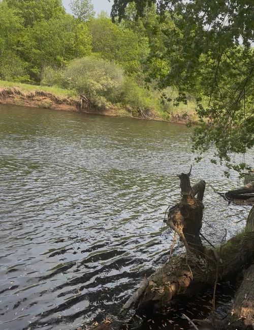 1995 Royal Heights Ln, Braham, MN, 55006-2706 | Card Image