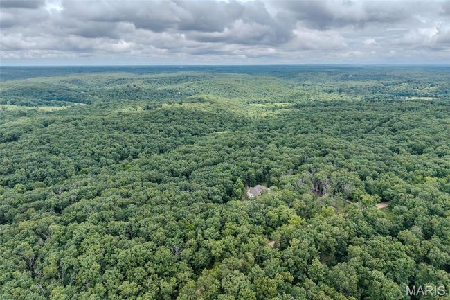 Aerial view of a forest | Image 73
