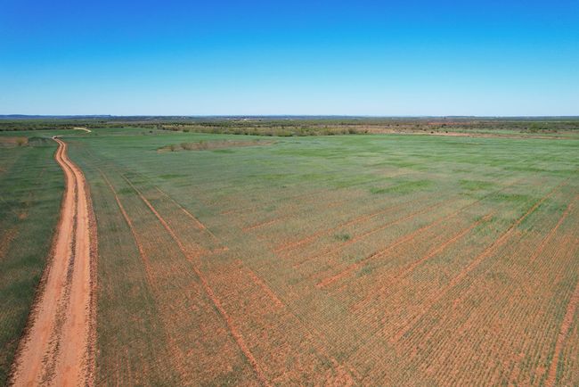 126 Cervenka Rd, House other with 3 bedrooms, 2 bathrooms and null parking in Bronte TX | Image 18