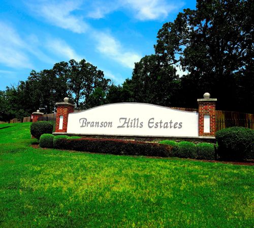Tbd Olympic Dr, Branson, MO, 65616 | Card Image