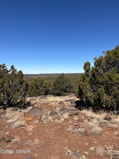 19 County Road 8230, Concho, AZ, 85924 | Card Image