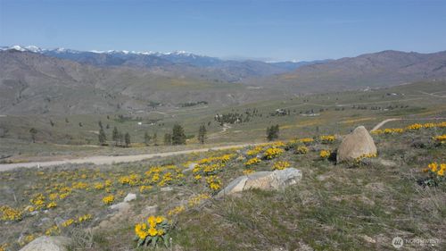 31 Cowboy Road, Methow, WA, 98834 | Card Image