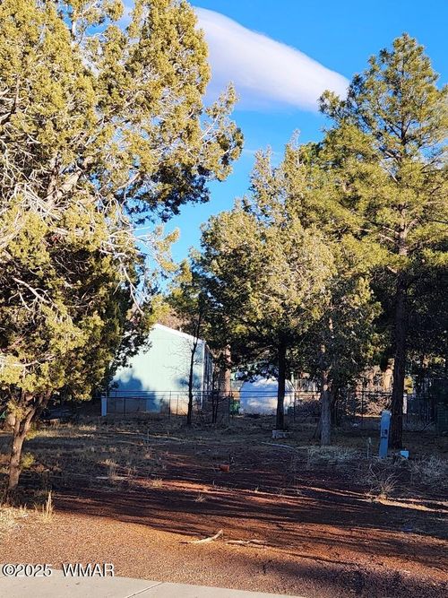 961 S 9th Dr, Show Low, AZ, 85901-6737 | Card Image