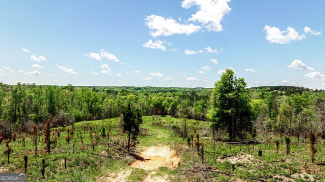 0 Kemp Rd, Home with 0 bedrooms, 0 bathrooms and null parking in Buena Vista GA | Image 29