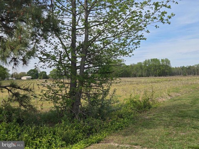 1572 Woodyard Rd, House other with 3 bedrooms, 4 bathrooms and null parking in HARRINGTON DE | Image 92