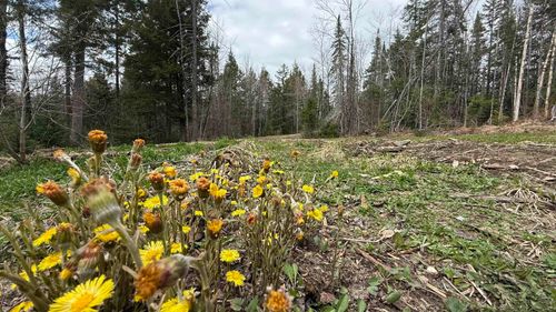 227 Dukes Road, Johnson, VT, 05656 | Card Image