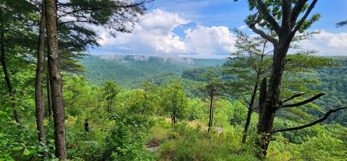 0 Eagle Point Drive, Monteagle, TN, 37356 | Card Image