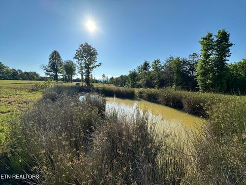 7 Curtis Rd, Tellico Plains, TN, 37385 | Card Image