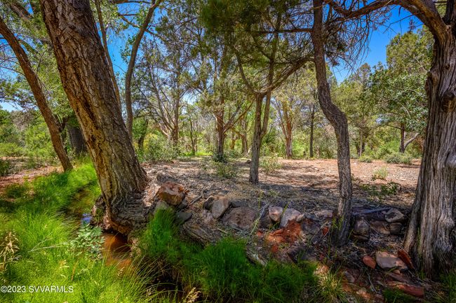 Trees provide shady places of respite throughout! | Image 6