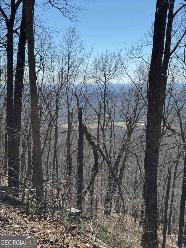 7349 Starlight Ln, Home with 0 bedrooms, 0 bathrooms and null parking in Jasper GA | Image 19