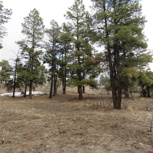 1084 County Road 600, Pagosa Springs, CO, 81147-0167 | Card Image