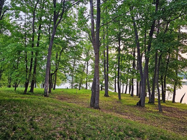 Looking northeast.jpg | Image 29