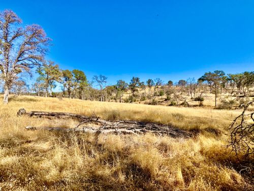 13031 Lone Tree Way, Loma Rica, CA, 95901-9560 | Card Image