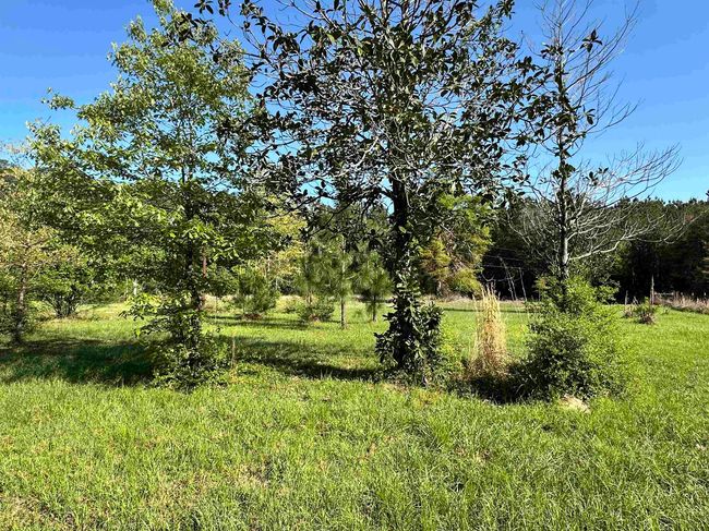 725 Cr 4364, House other with 3 bedrooms, 2 bathrooms and null parking in Spurger TX | Image 26