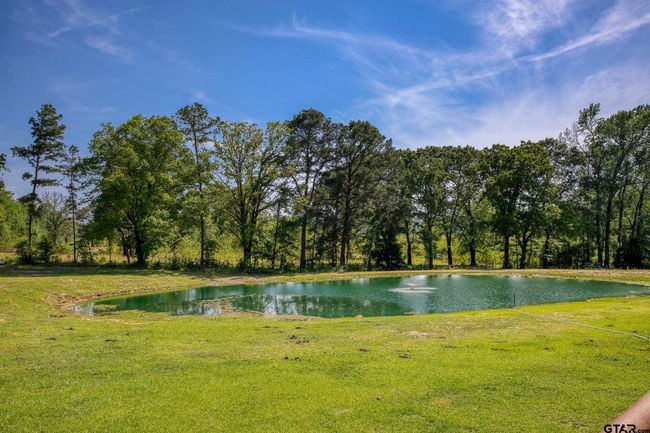 3662 An County Road 359, Home with 3 bedrooms, 3 bathrooms and null parking in Palestine TX | Image 8