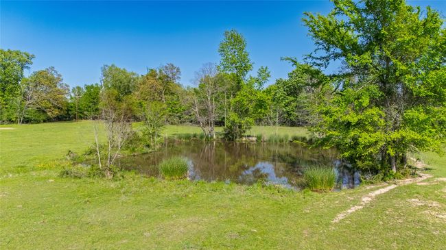 72 N Farm Road 900 N, Home with 0 bedrooms, 0 bathrooms and null parking in Saltillo TX | Image 12