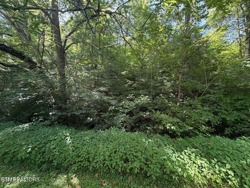 12 Smoky Mountain Way, Sevierville, TN, 37876 | Card Image
