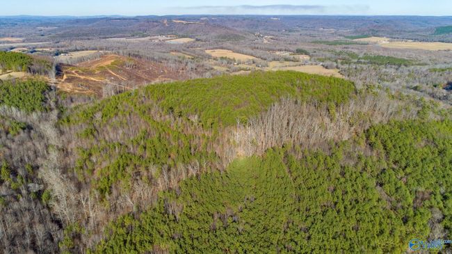 80 acres Rock Creek Rd, Home with 0 bedrooms, 0 bathrooms and null parking in Eva AL | Image 17