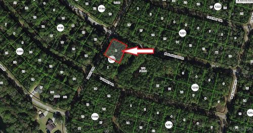 8426 N Alameda Dr, Citrus Springs, FL, 34434 | Card Image