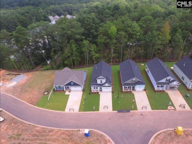 147 Locomotive (Lot 16) Lane, House other with 3 bedrooms, 3 bathrooms and null parking in Irmo SC | Image 4
