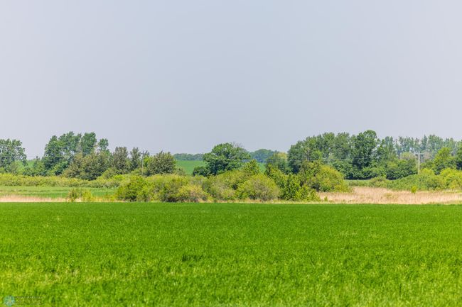 Amdak__Fosston MN - Land_0021.jpg | Image 22
