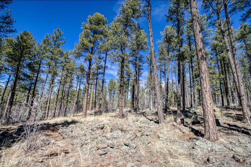 4 Acres E Osprey Ln, Pinetop, AZ, 85935 | Card Image