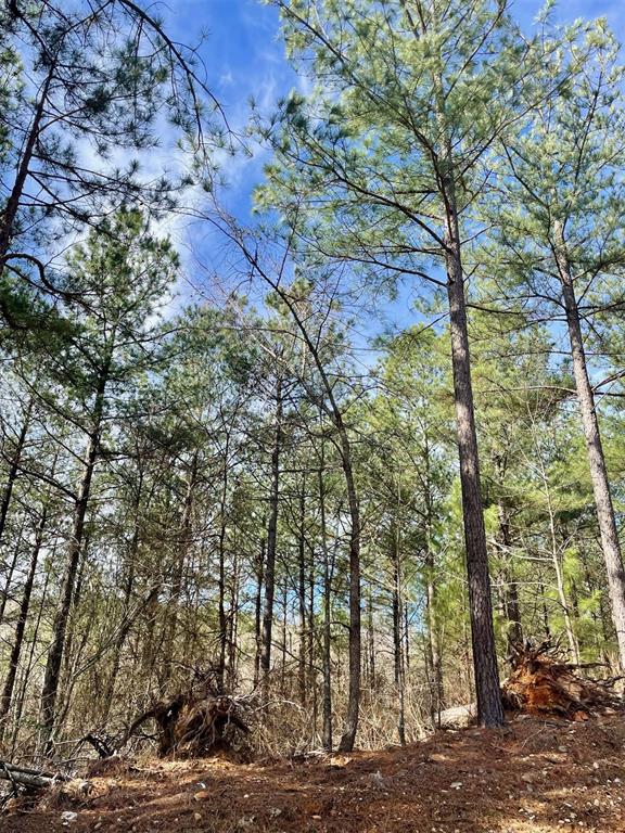 Land in Broken Bow 3