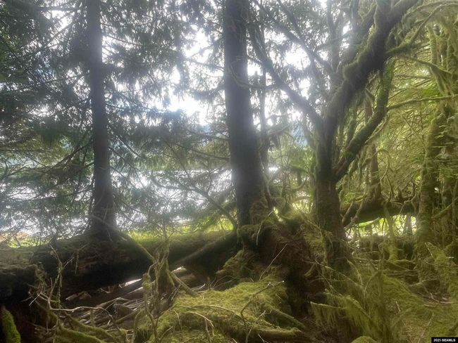 LOT-2-BLOCK-1 - NHN Legal Address Only, Home with 0 bedrooms, 0 bathrooms and null parking in Ketchikan AK | Image 14