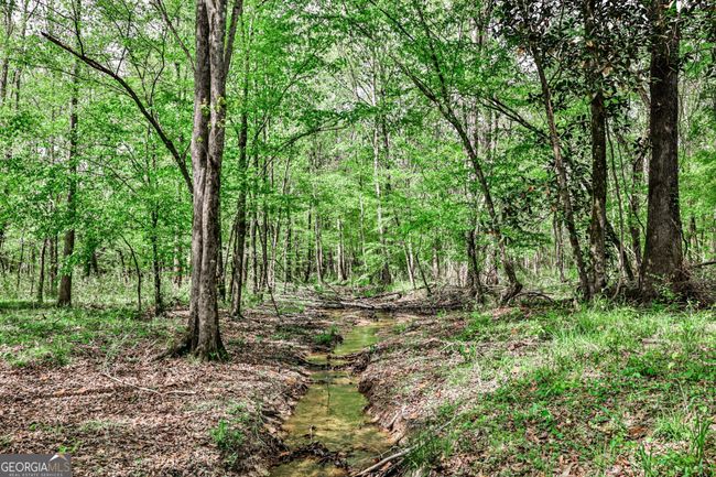 0 Kemp Rd, Home with 0 bedrooms, 0 bathrooms and null parking in Buena Vista GA | Image 18