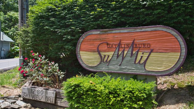 APT-4202 - 1260 Ski View Dr, Condo with 1 bedrooms, 1 bathrooms and null parking in Gatlinburg TN | Image 13